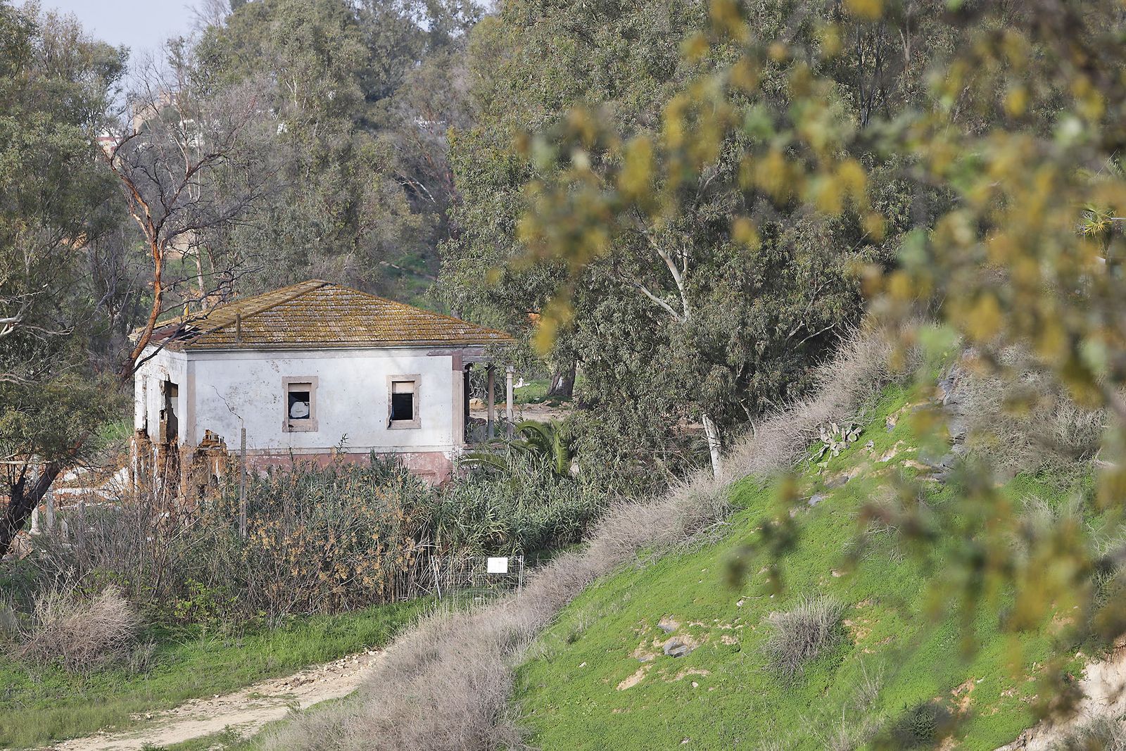 Las imágenes más destacadas del domingo 26 de noviembre en Huelva