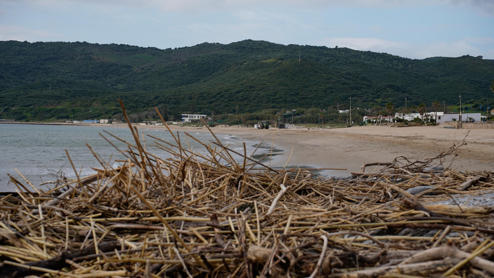 Fotos de la playa de Getares llena de cañas y desechos