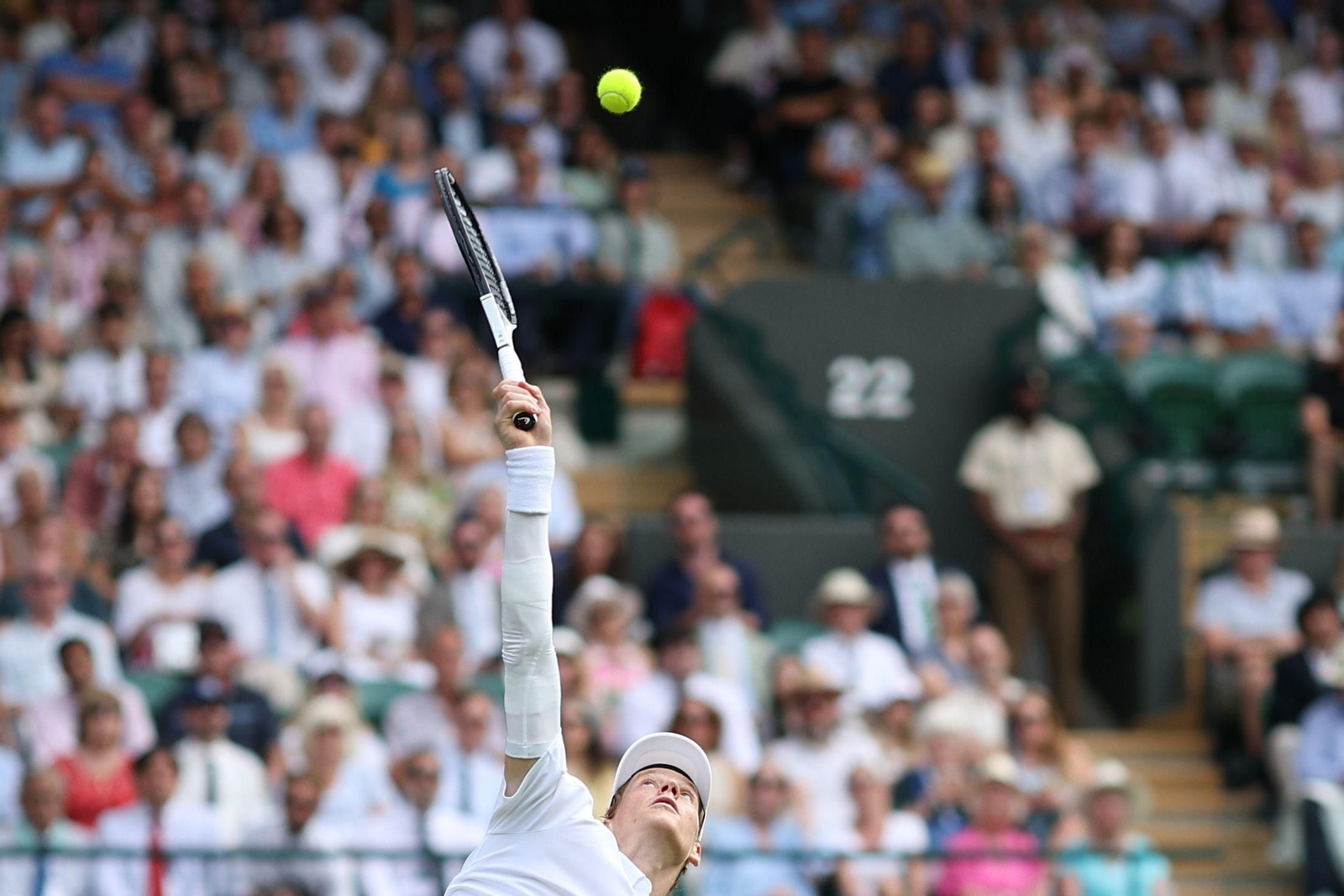 Las fotos de Wimbledon con las clasificaciones de Djokovic y Sinner