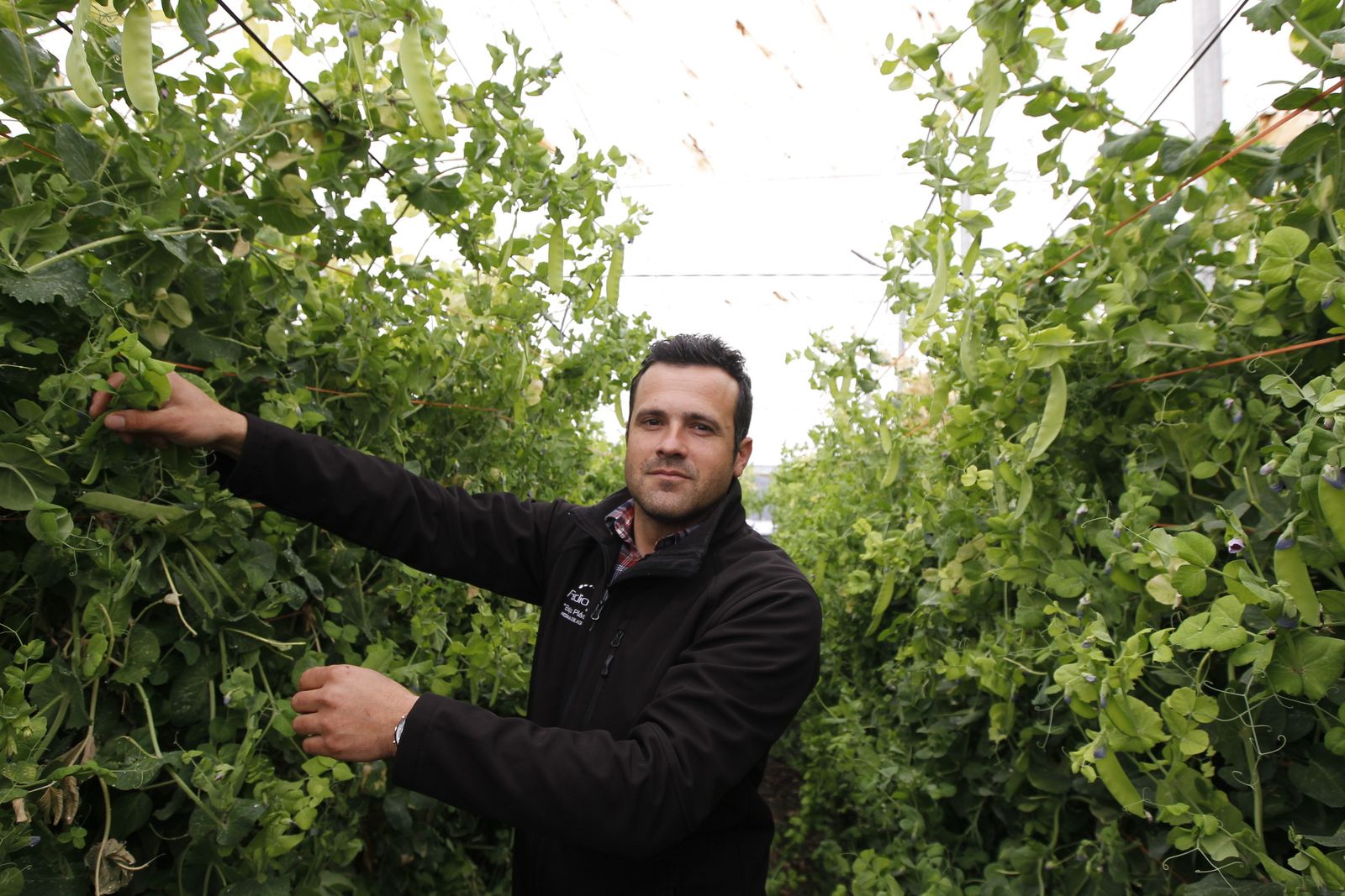 José Juan Gutiérrez, concejal de Agricultura y uno de los impulsores de la puesta en valor del tirabeque y el présule.