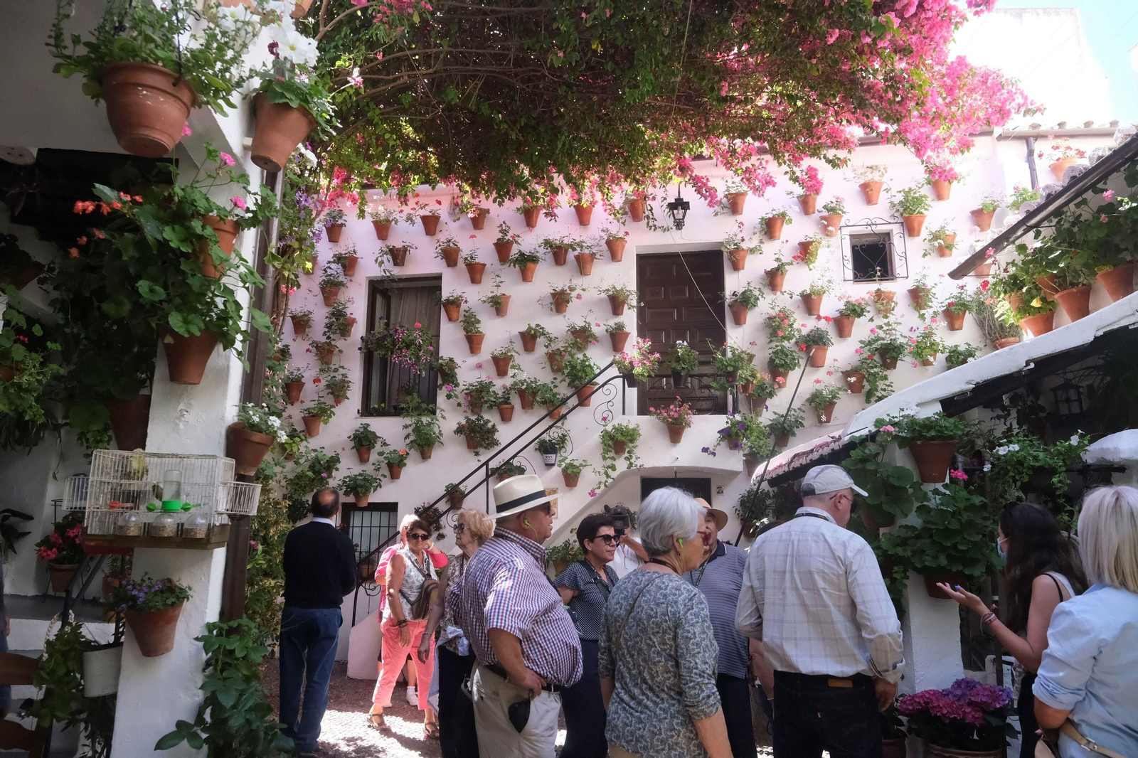 Los Patios de Córdoba se llenan de turistas en su primer fin de semana, en imágenes