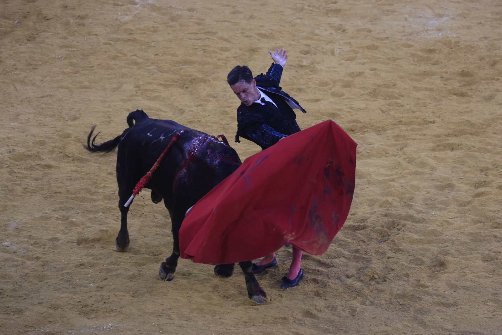 Fotos de la corrida de toros de la Feria de San Roque con David Galván, Román y Joaquín Galdós