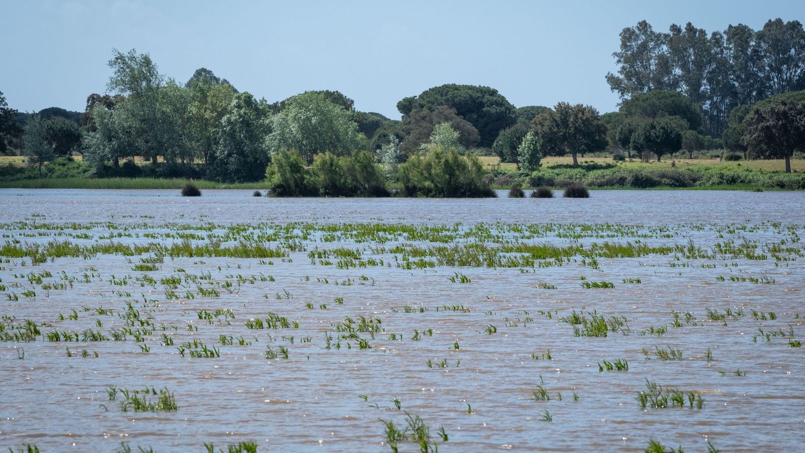 Vista de las marismas  de la aldea almonteña de El Rocío junto al Parque Nacional de Doñana .