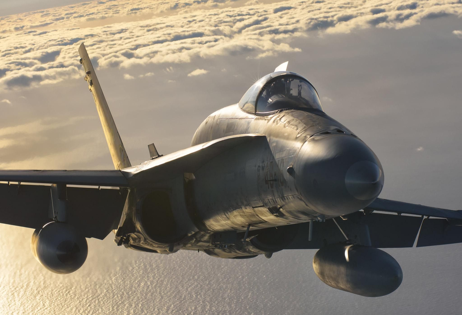 Un F-18 en pleno vuelo.