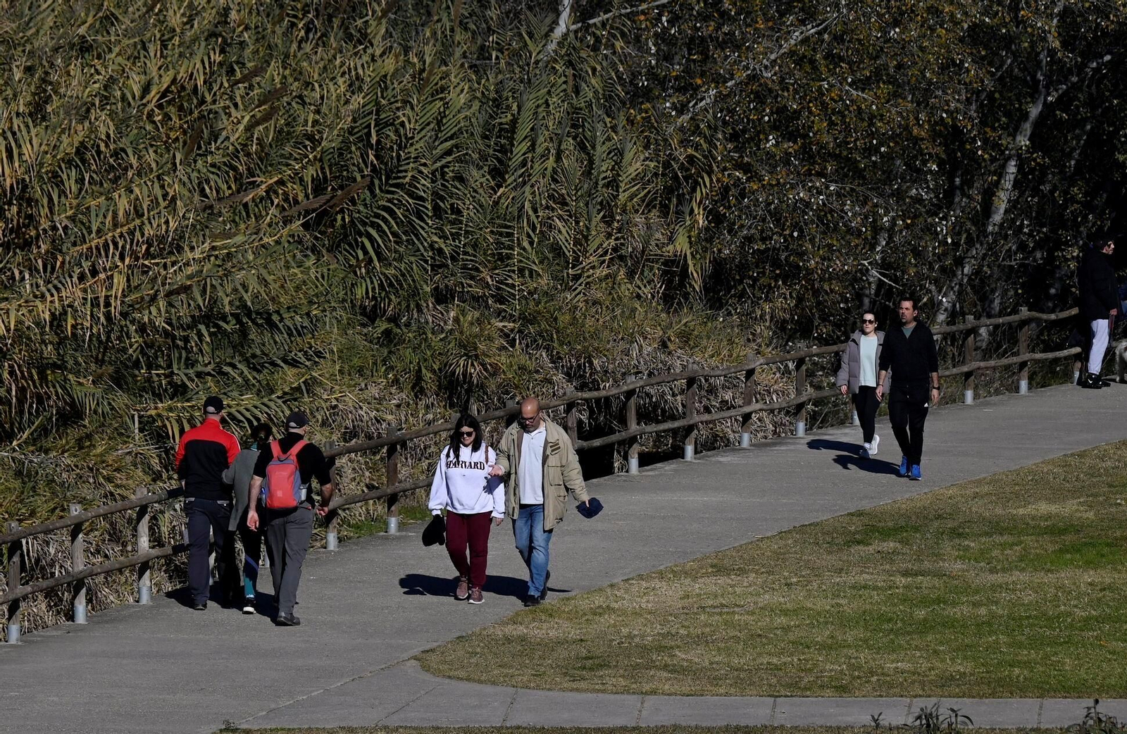Los cordobeses salen a la calle en el primer día de 2025, en imágenes