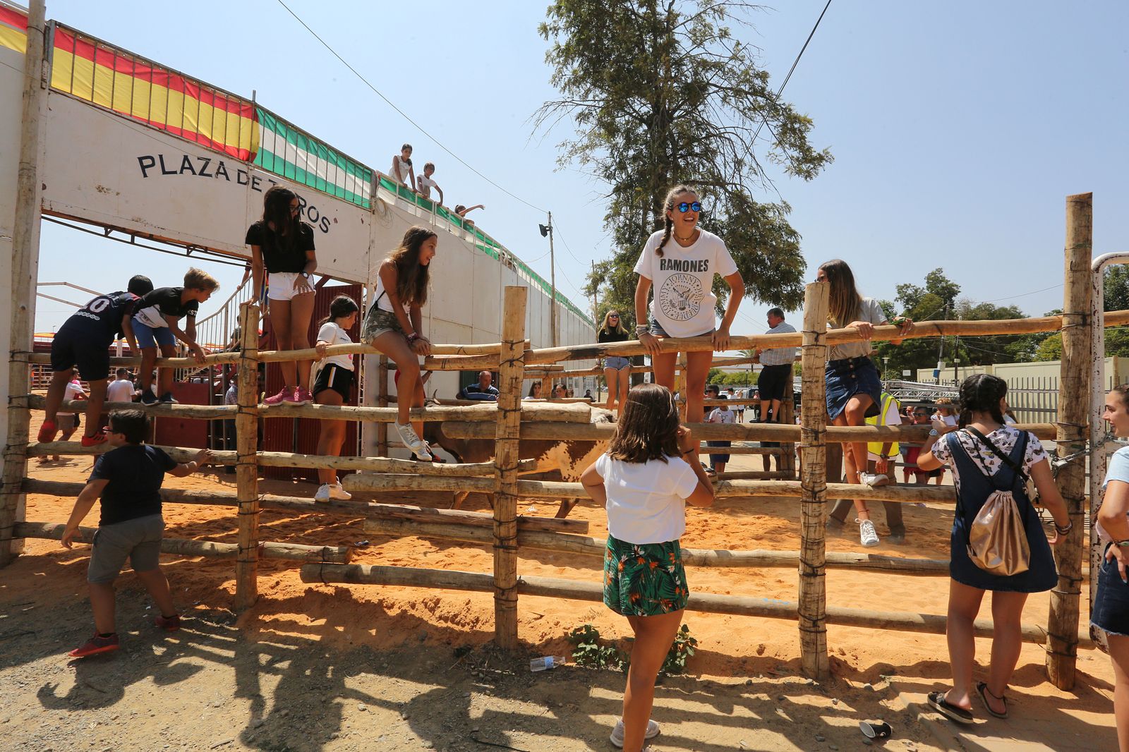Capeas de Trigueros en imágenes