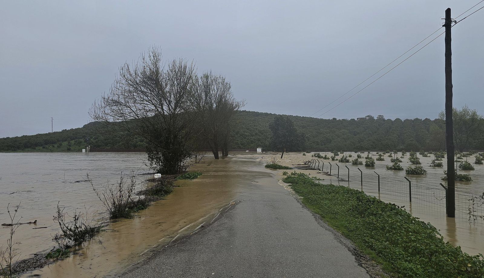 Fotos del temporal de lluvia y viento por la borrasca Kristin en Jimena de la Frontera, San Pablo de Buceite y San Martín del Tesorillo