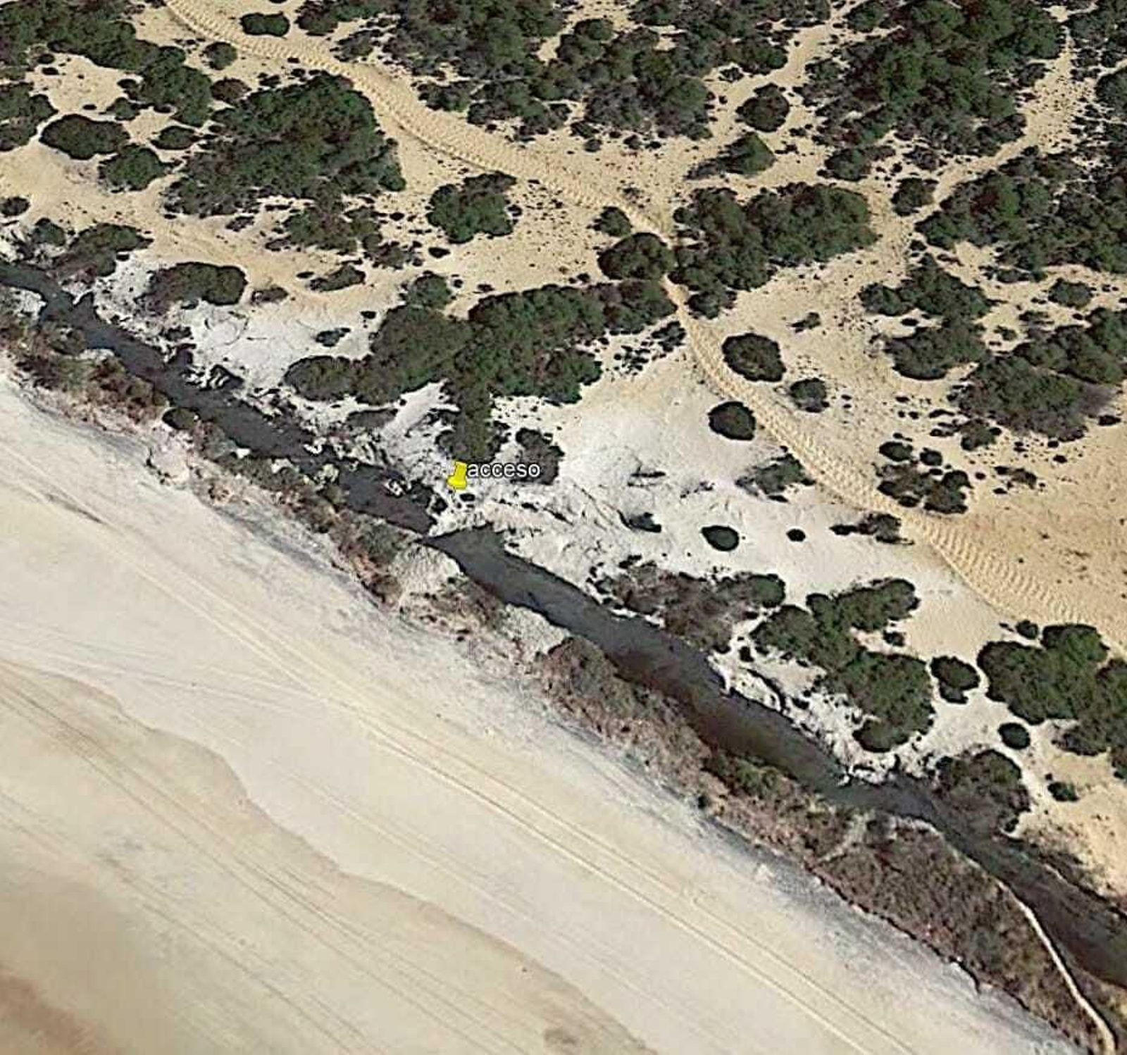 Imagen satélite del Médano del Asperillo.