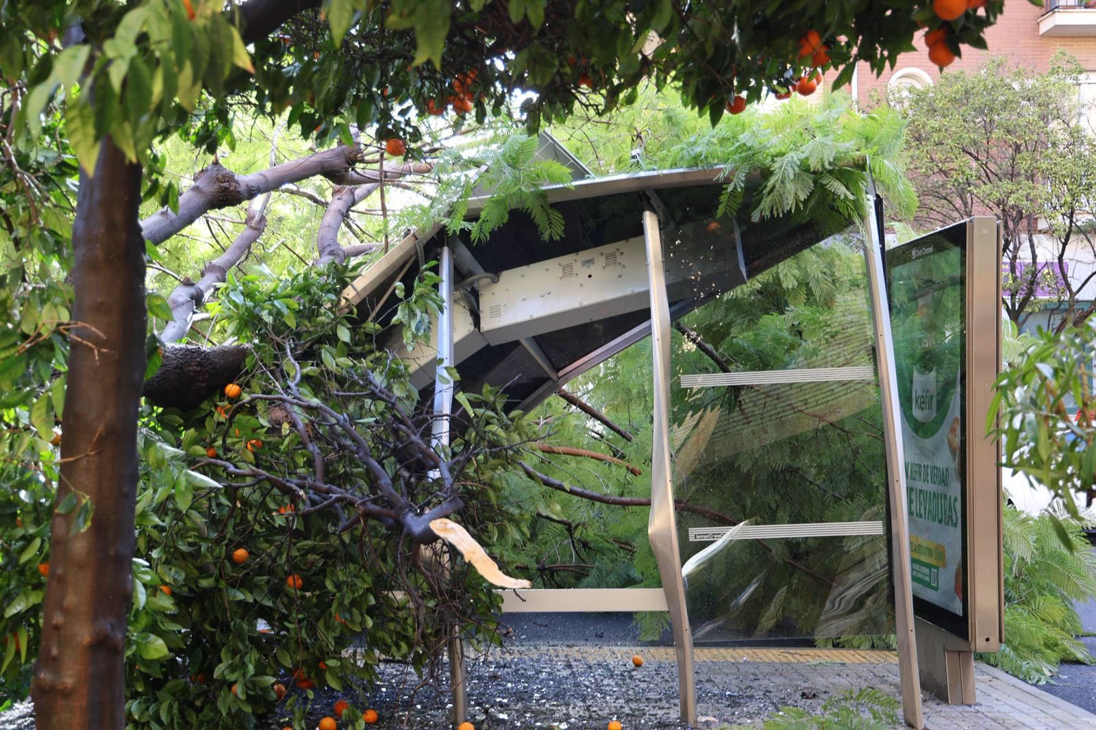 Fotografías de las incidencias de la borrasca Joseph durante la mañana
