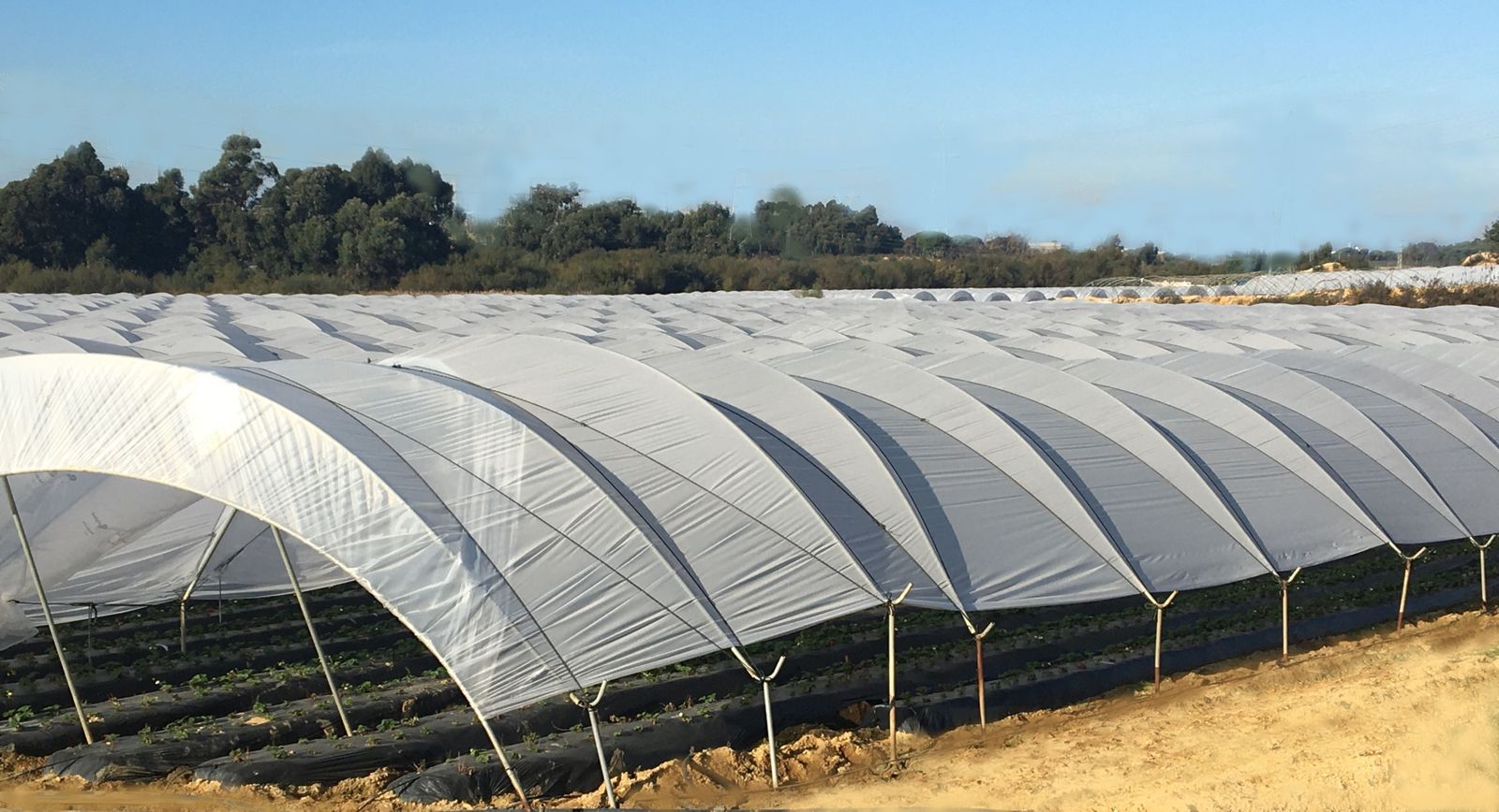 Mapla paraliza la puesta en marcha del sistema para los plásticos agrarios