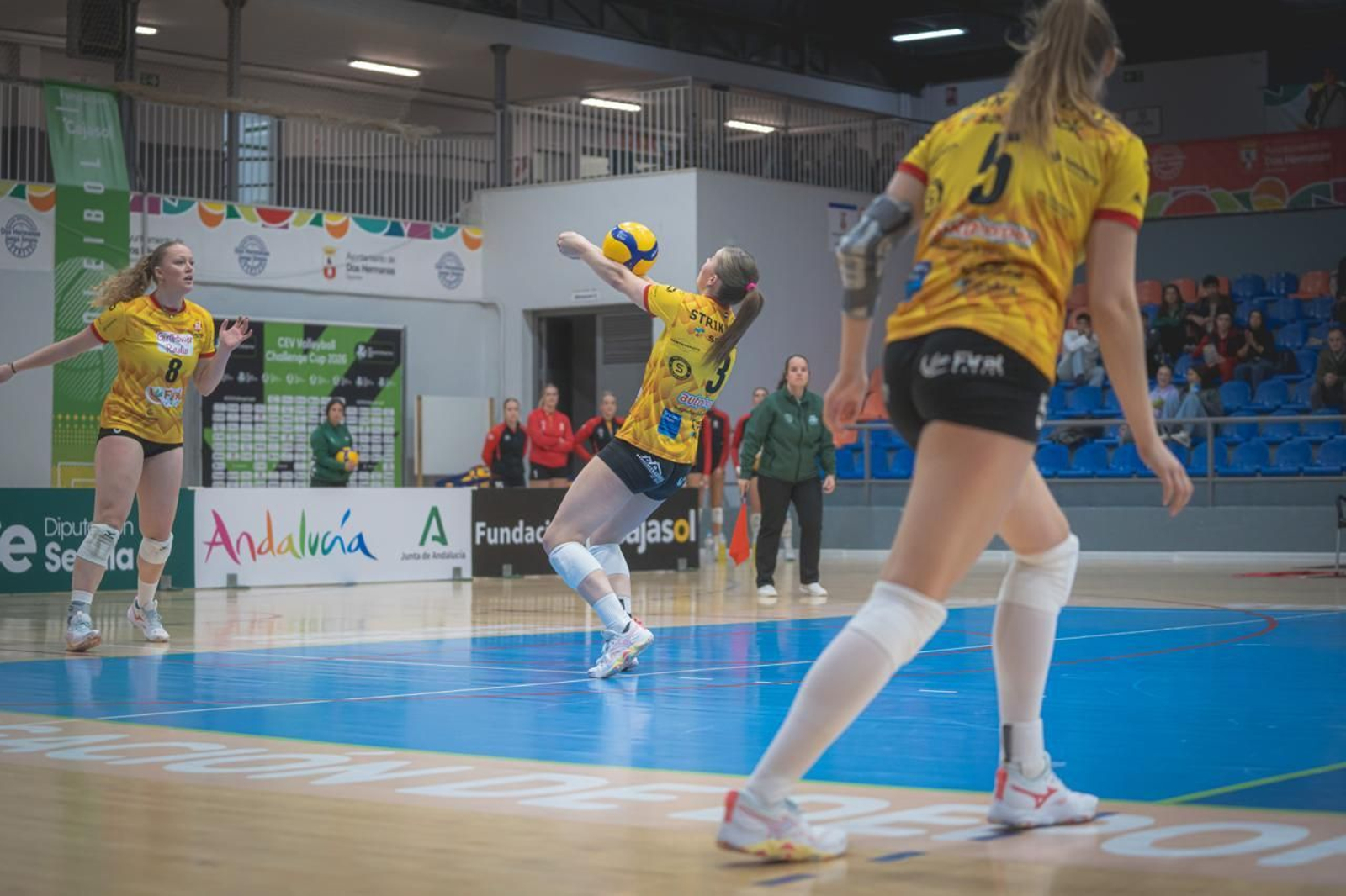 Las fotos del Fundación Cajasol Andalucía-Dynamo Apeldoorn