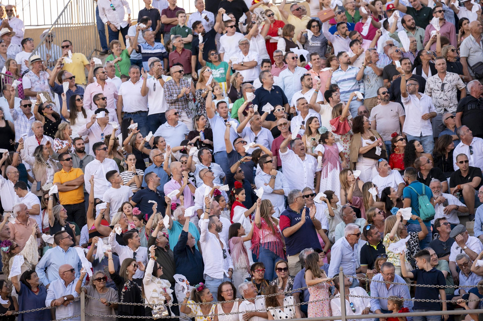Las imágenes de los toros en Vera