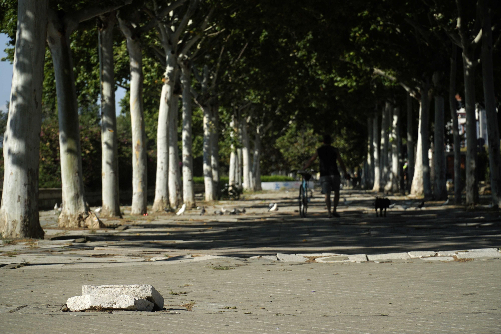 La reurbanización del paseo de Torneo pasa por eliminar un espacio duro de la ciudad que se encuentra muy deteriorado.