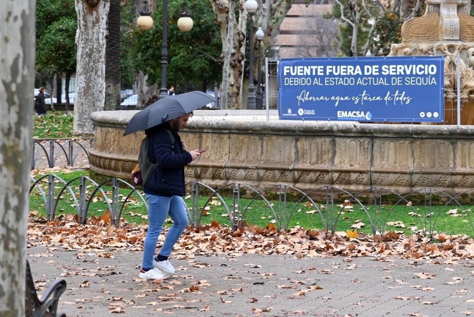 El temporal de viento y lluvia en Córdoba, en imágenes