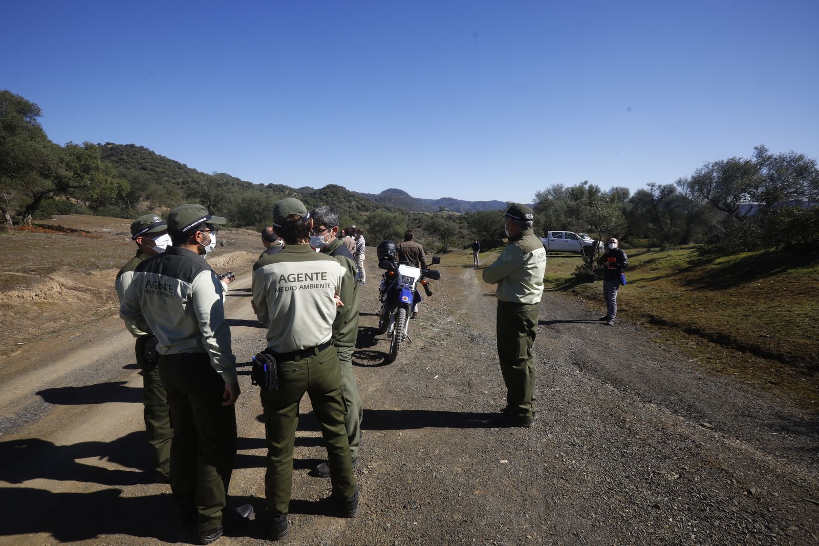La suelta de la lincesa Salema en el Guadalmellato de Córdoba, en fotografías.