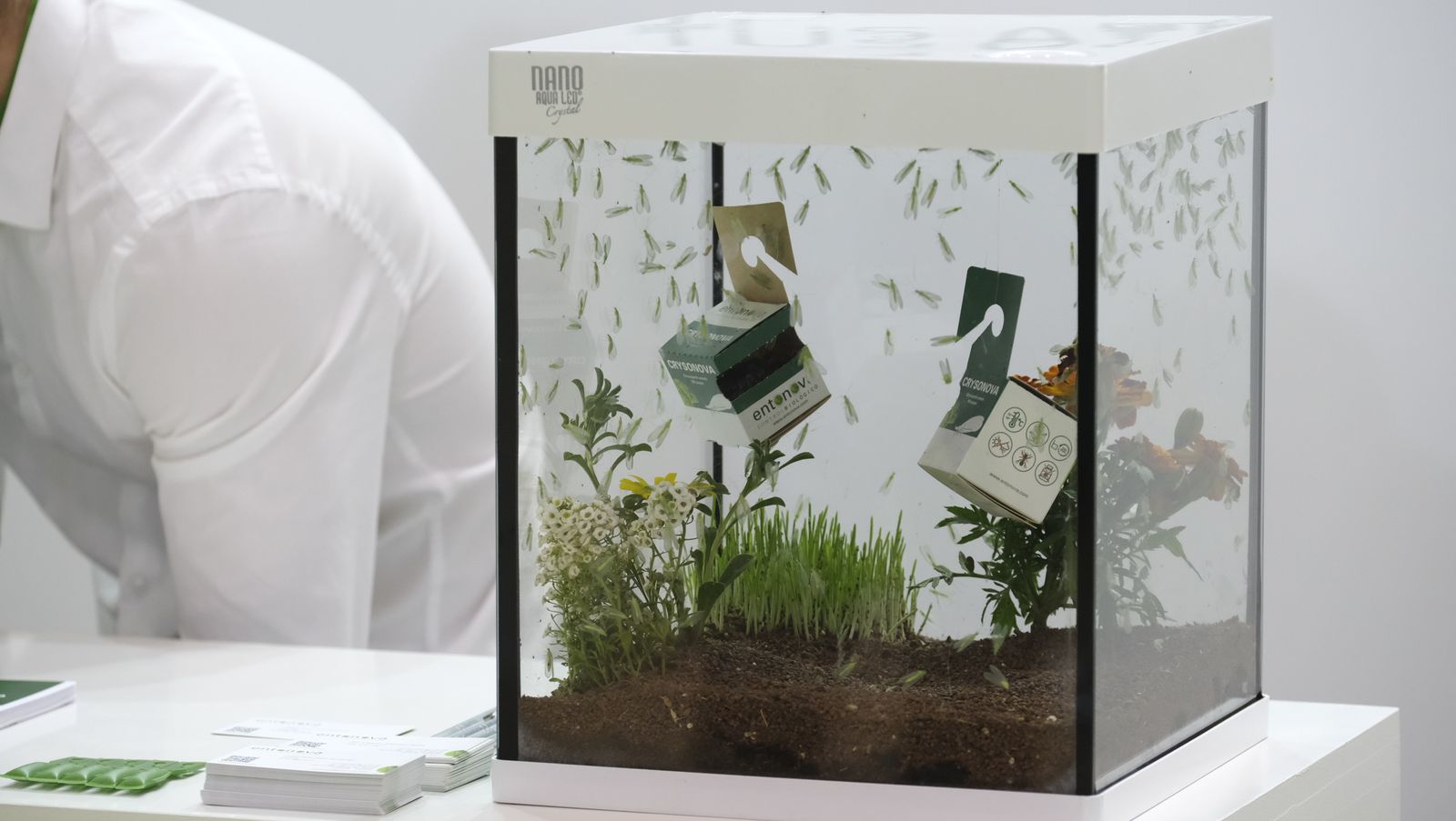 Imágenes del primer día de Expolevante Níjar.