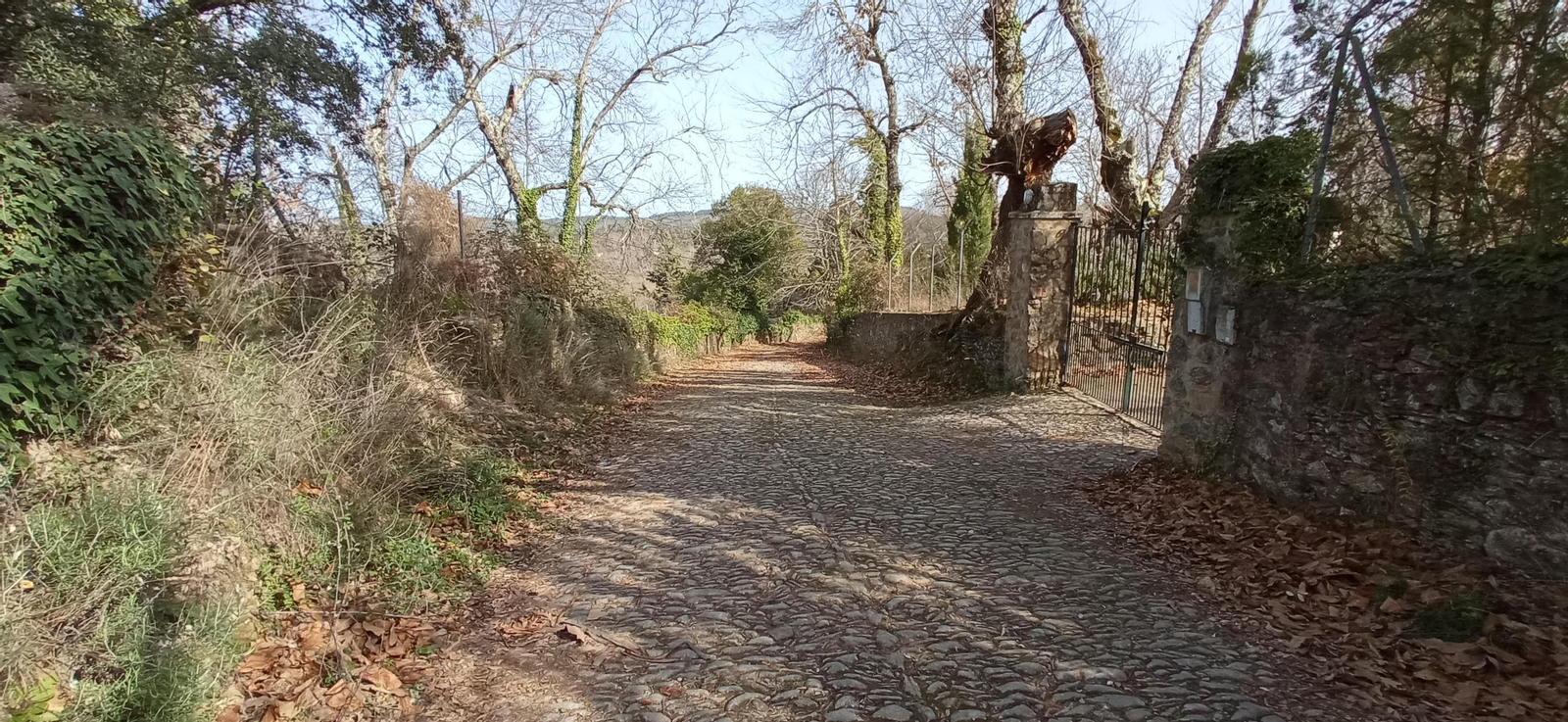 Las imágenes de la ruta de la Dehesa de Valdelama: De Los Marines a Fuenteheridos y vuelta