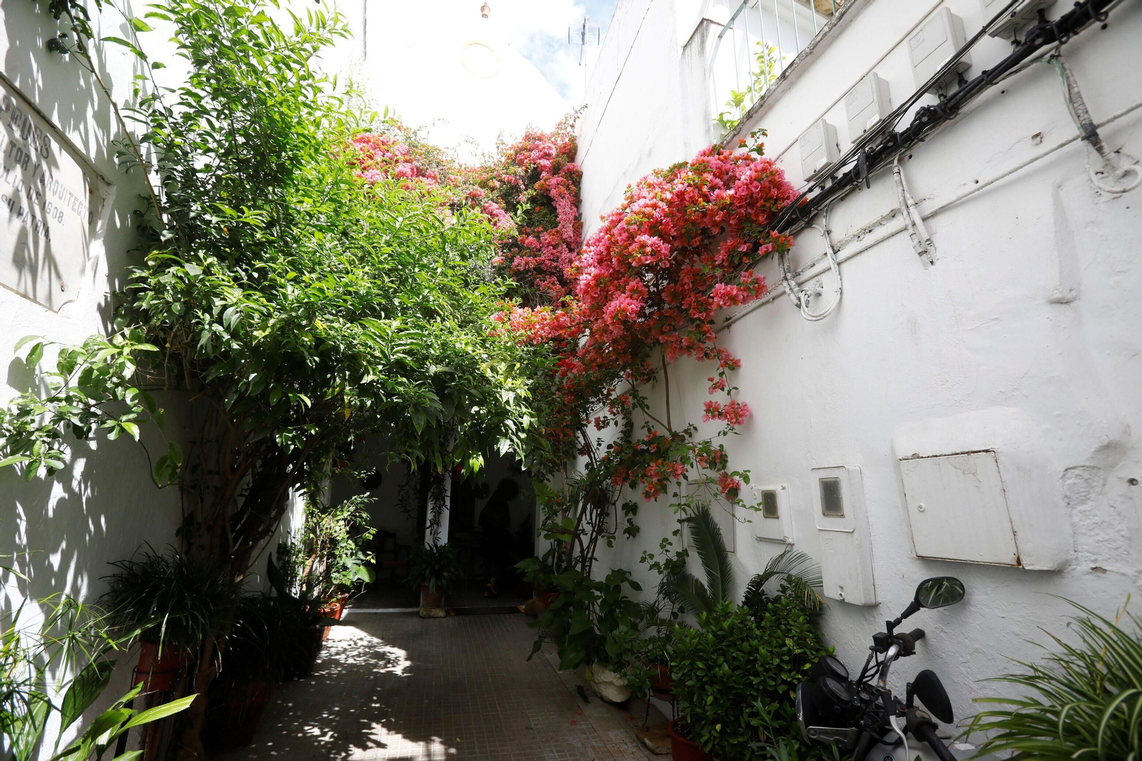 Los patios de Córdoba de la ruta Judería-San Francisco, en imágenes