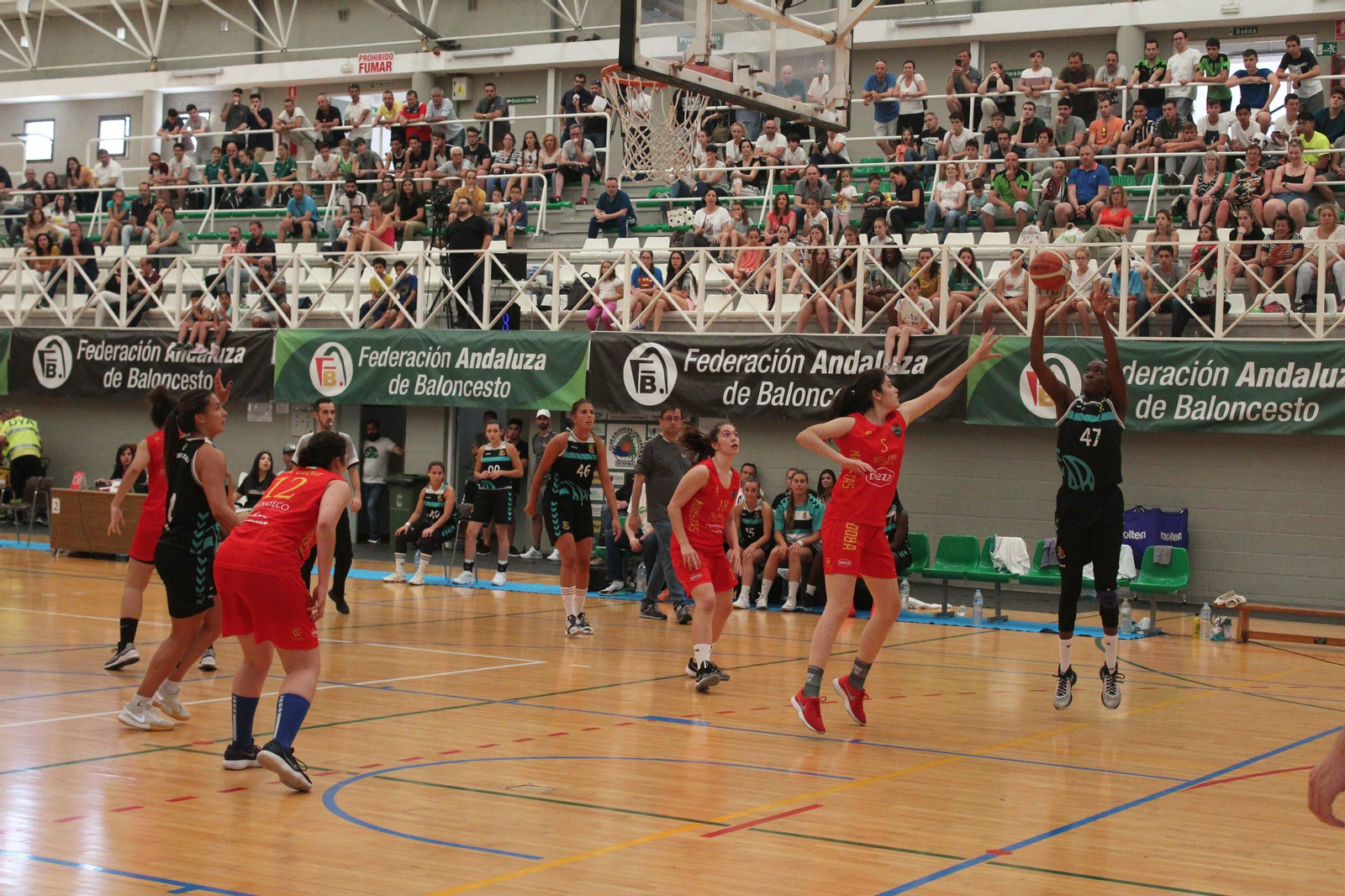 Las fotos de la Final Four de Primera Nacional Femenina