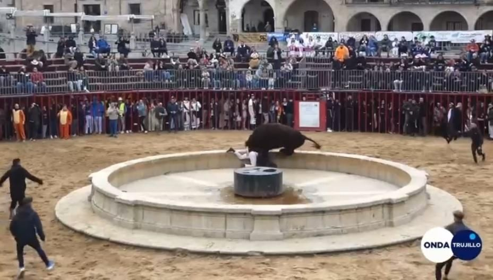 Una imagen del momento de la cogida. Una imagen del momento de la cogida.