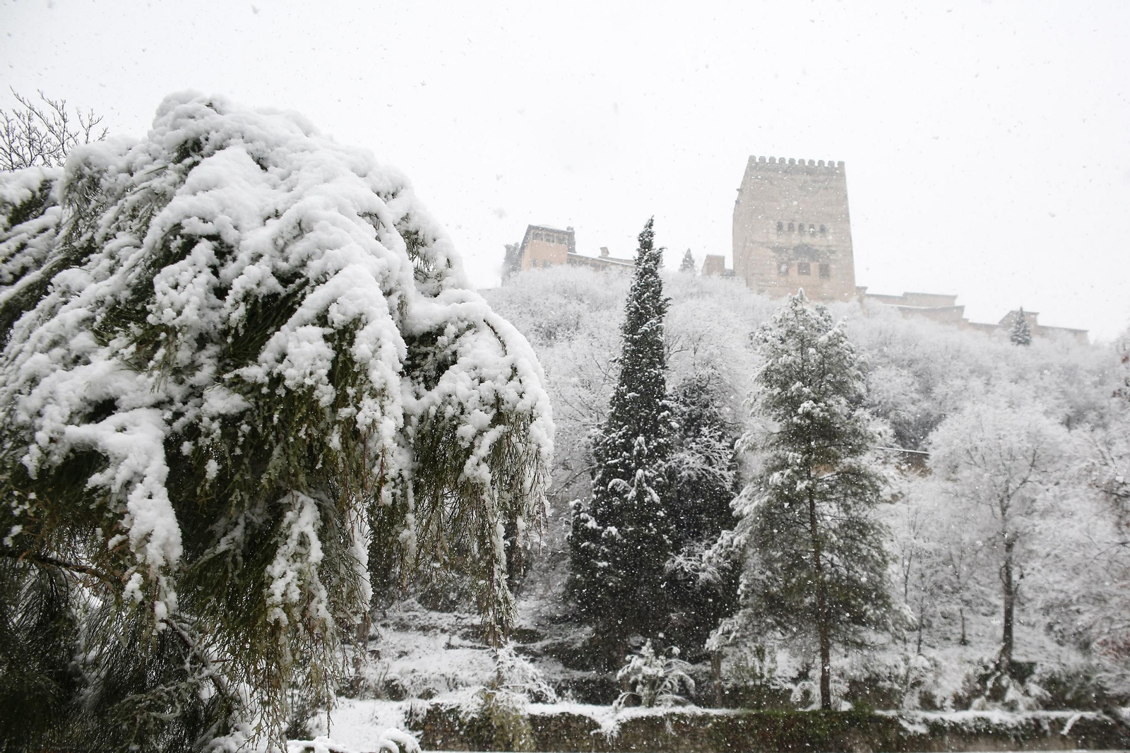La nevada de Granada, en imágenes