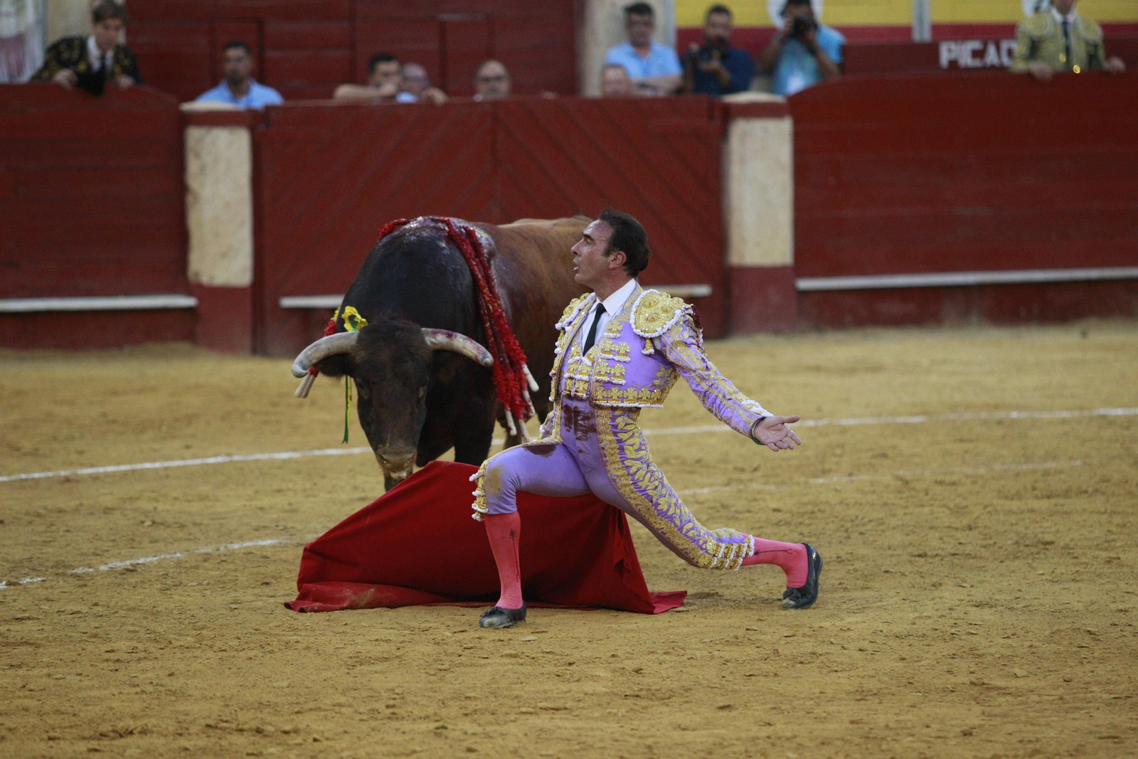 La despedida del torero Enrique Ponce de la Feria de Almería 2024, en imágenes