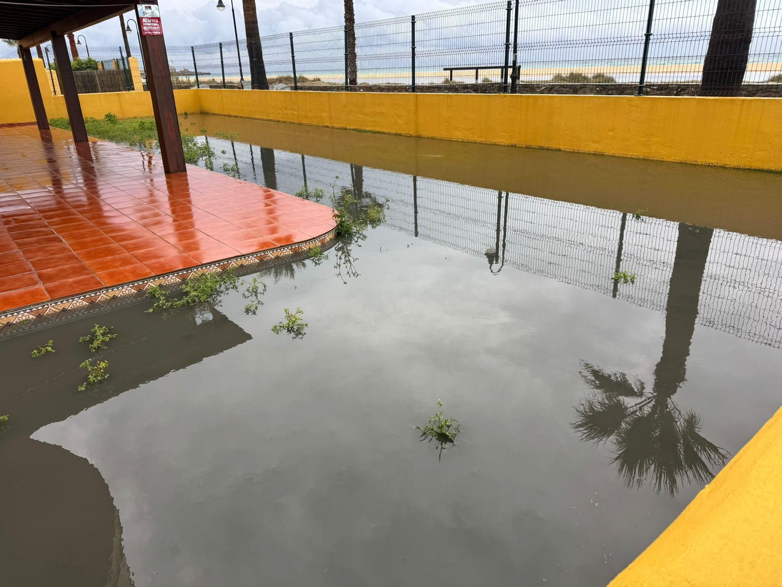 Un charco de aguas fecales en una urbanización de la playa de Los Lances, en Tarifa.