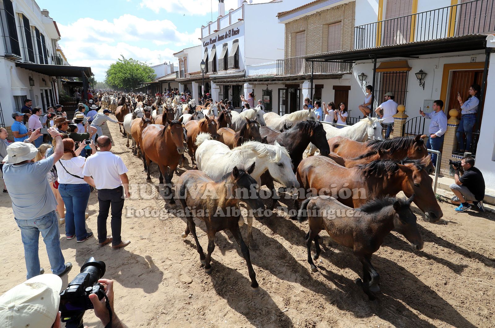 Imágenes de la saca de yeguas 2019