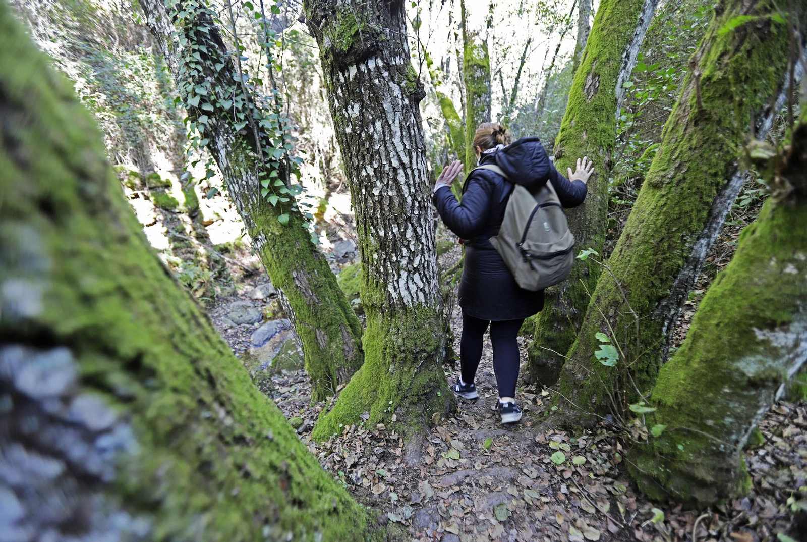 Ruta de Senderismo Charco Malo
