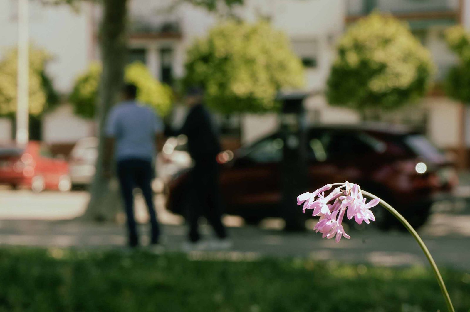 Las imágenes más destacadas del miércoles 30 de abril en Huelva