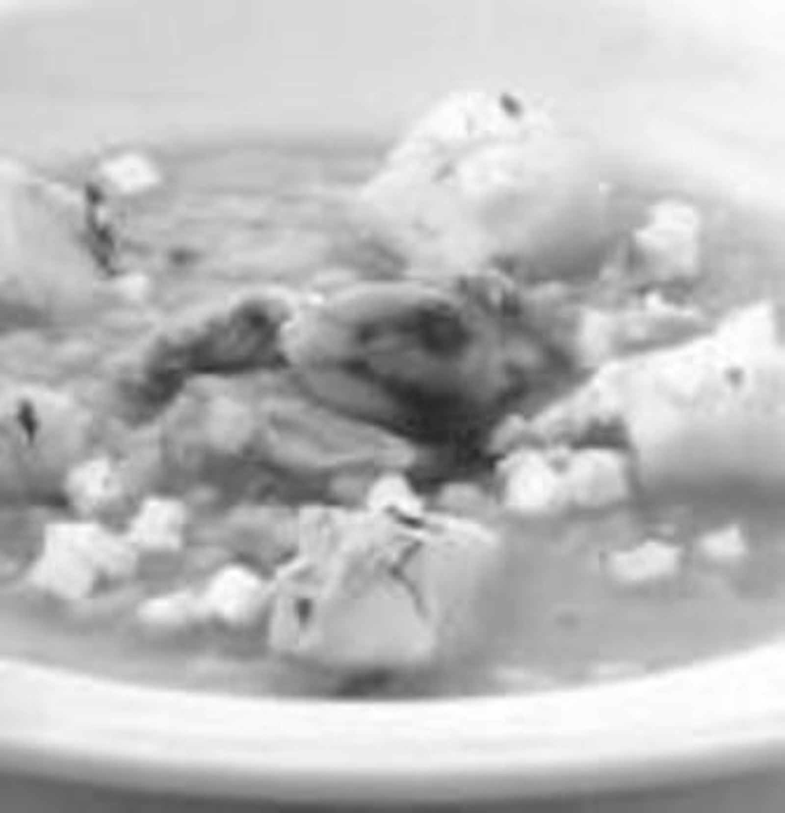 Entrante l Sopa de rape y berberechosPrimer plato l Bricks de pollo con salsa agridulce Segundo plato l Milhojas de vieiras y patatas Postre l Mousse de pistachos y vainilla