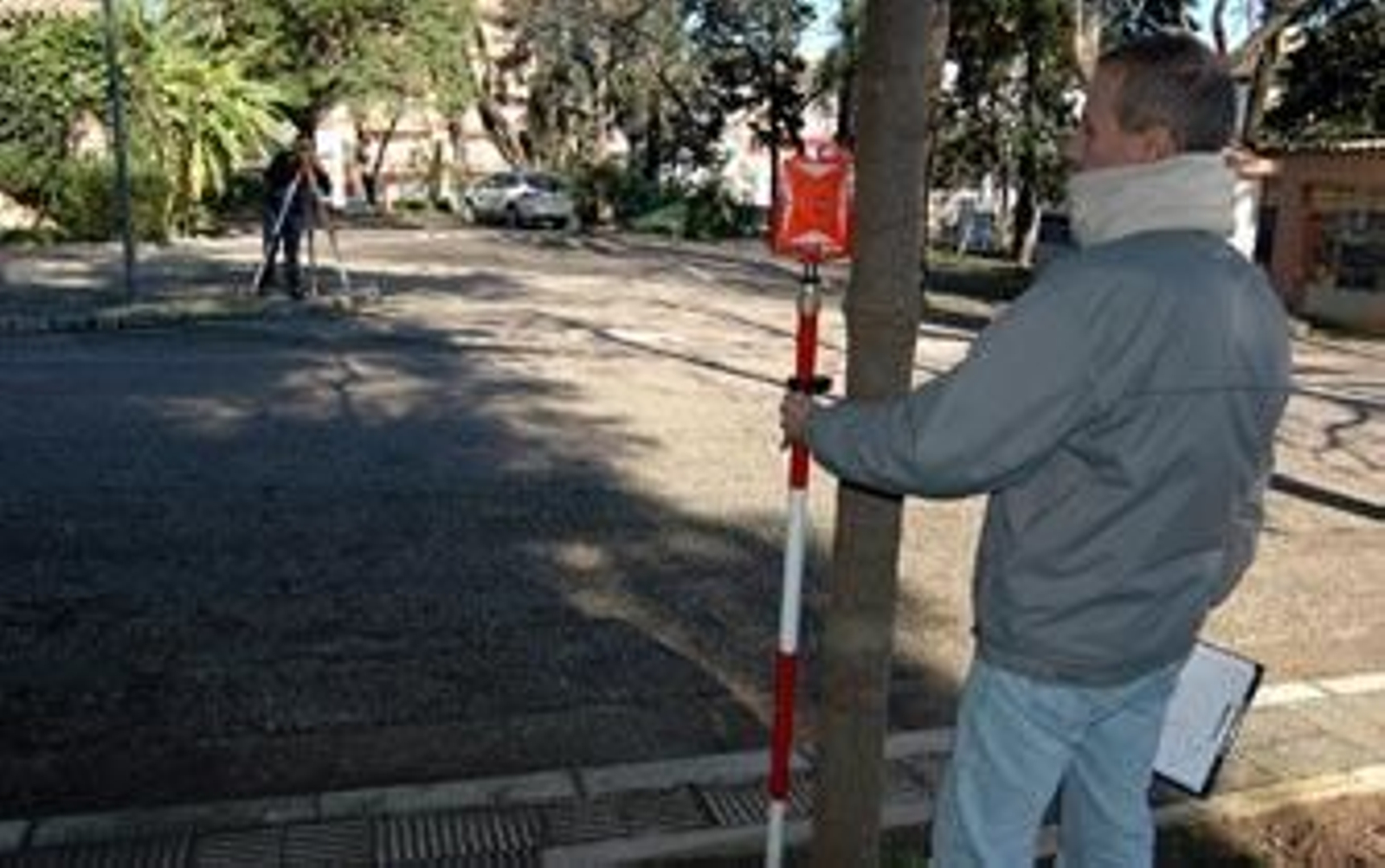 Medio Ambiente actualiza e informatiza el inventario de árboles de la ciudad