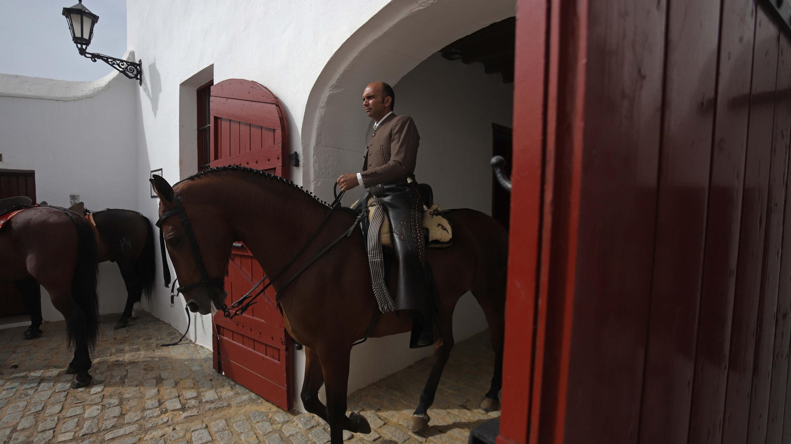 Fotos del espectáculo 'Cómo bailan los caballos andaluces' en San Roque