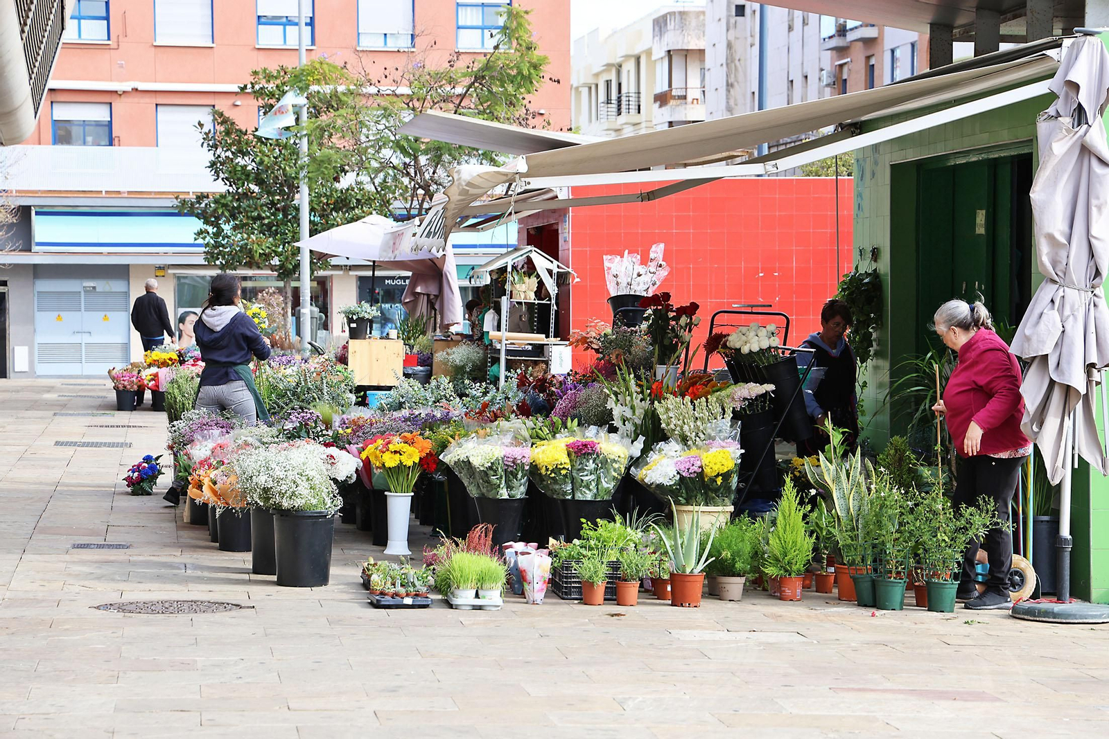 Las imágenes más destacadas del lunes 28 de octubre en Huelva