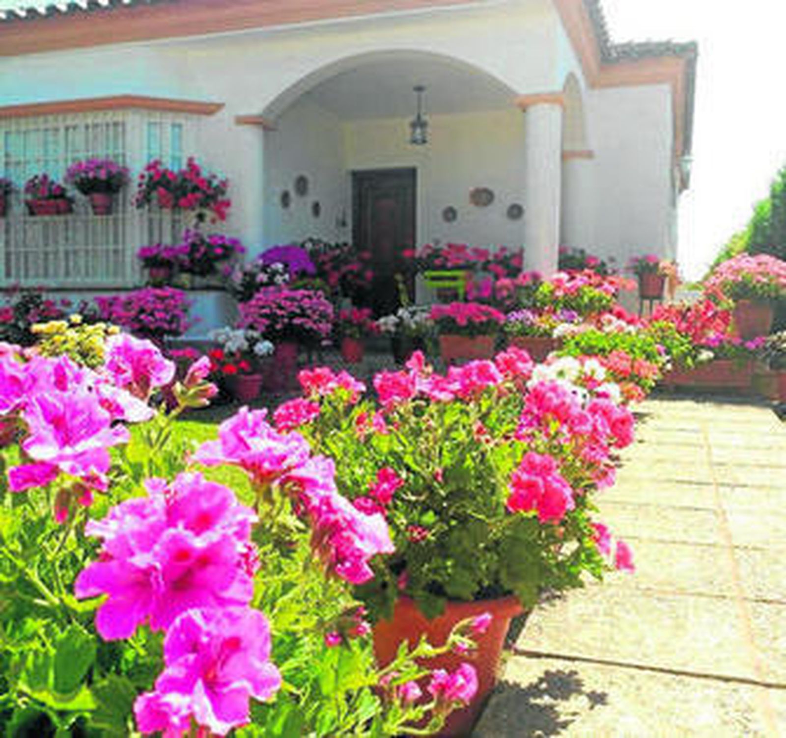 Vista del patio vencedor del certamen, situado en la calle Oca de la Urbanización Los Gallos.