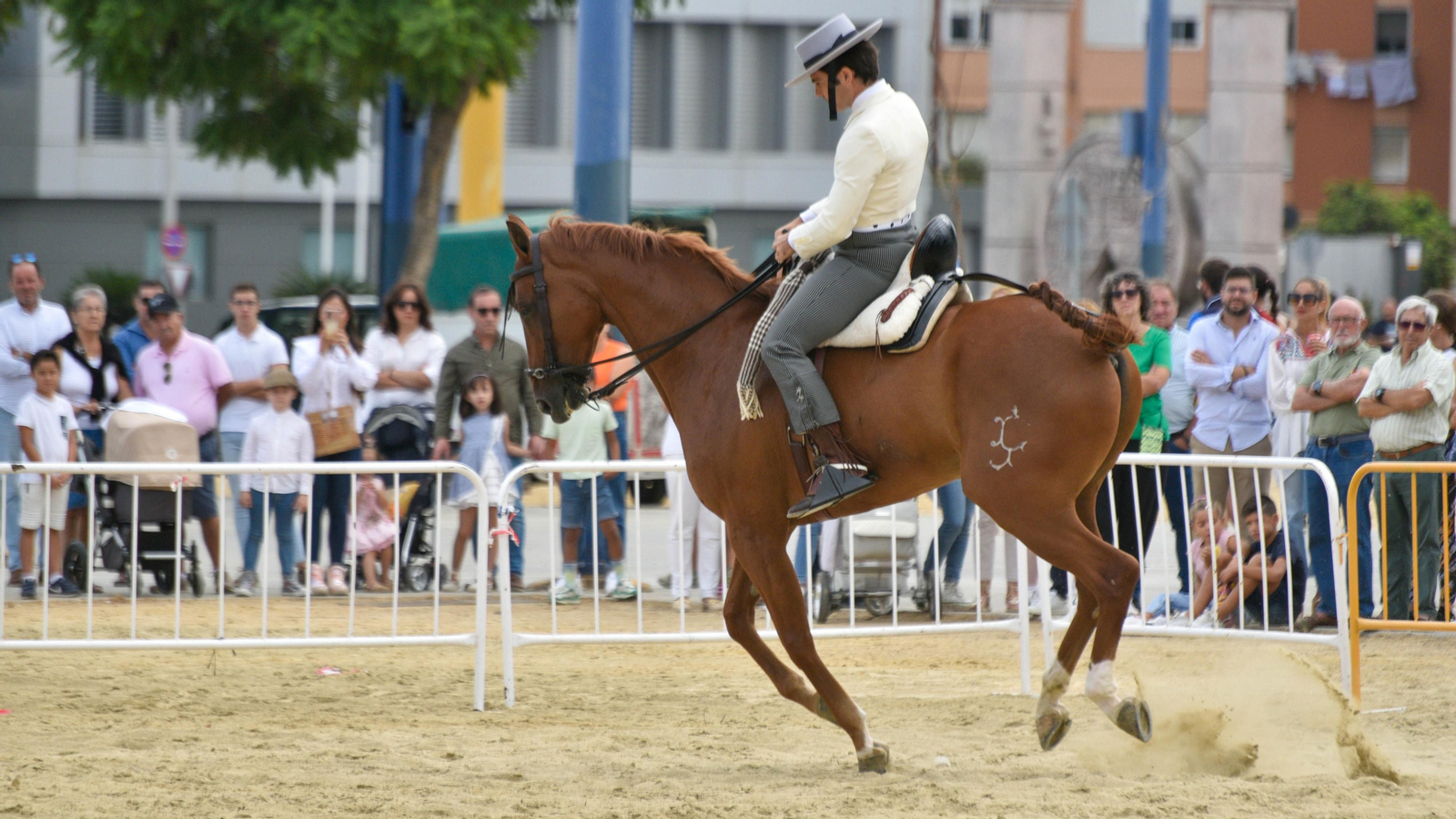 Cuarta jornada de Algeciras Entremares VII Edición