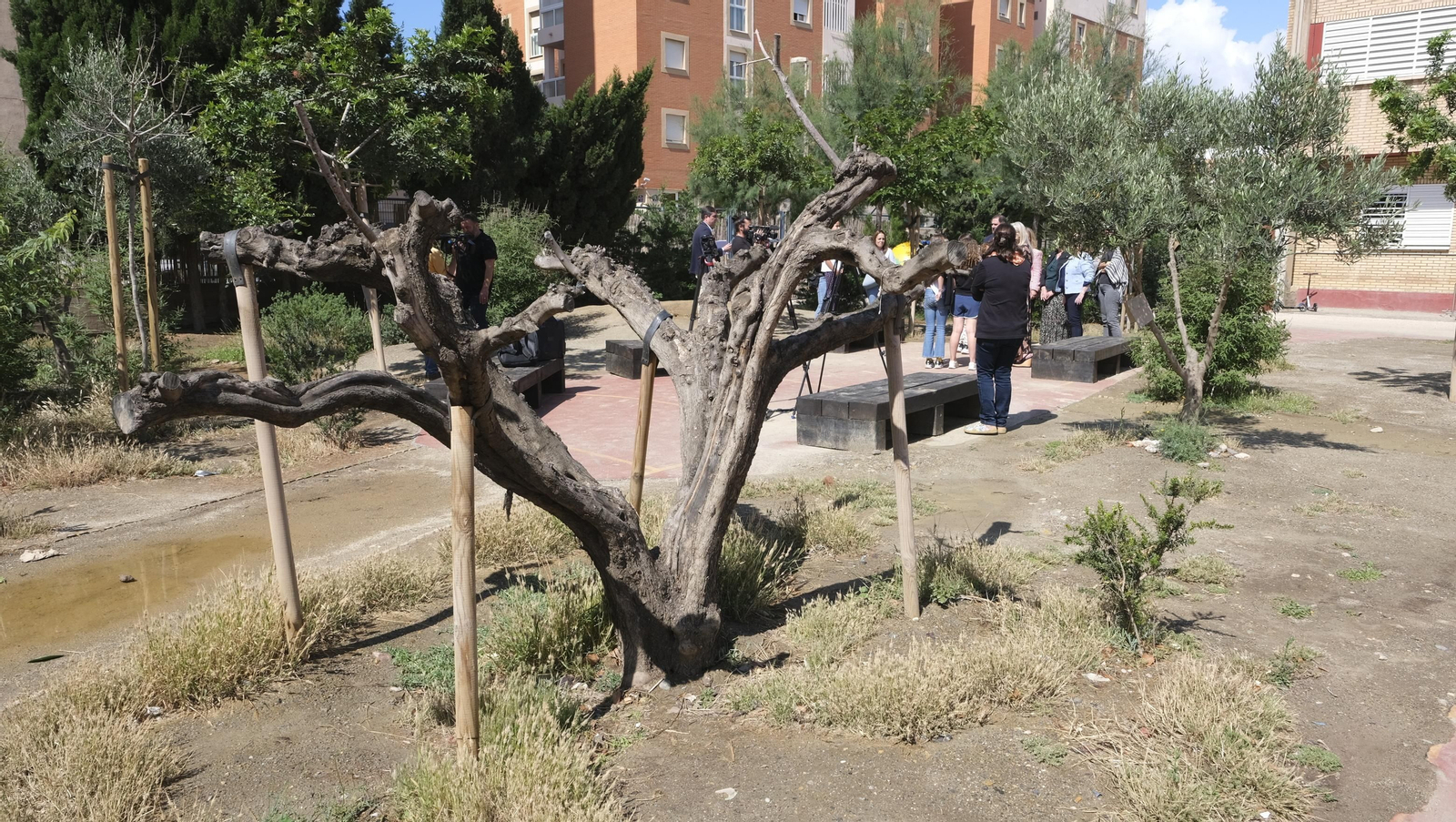 Proyecto Aulas Verdes Abiertas en el Colegio Mar Mediterráneo, de Almería