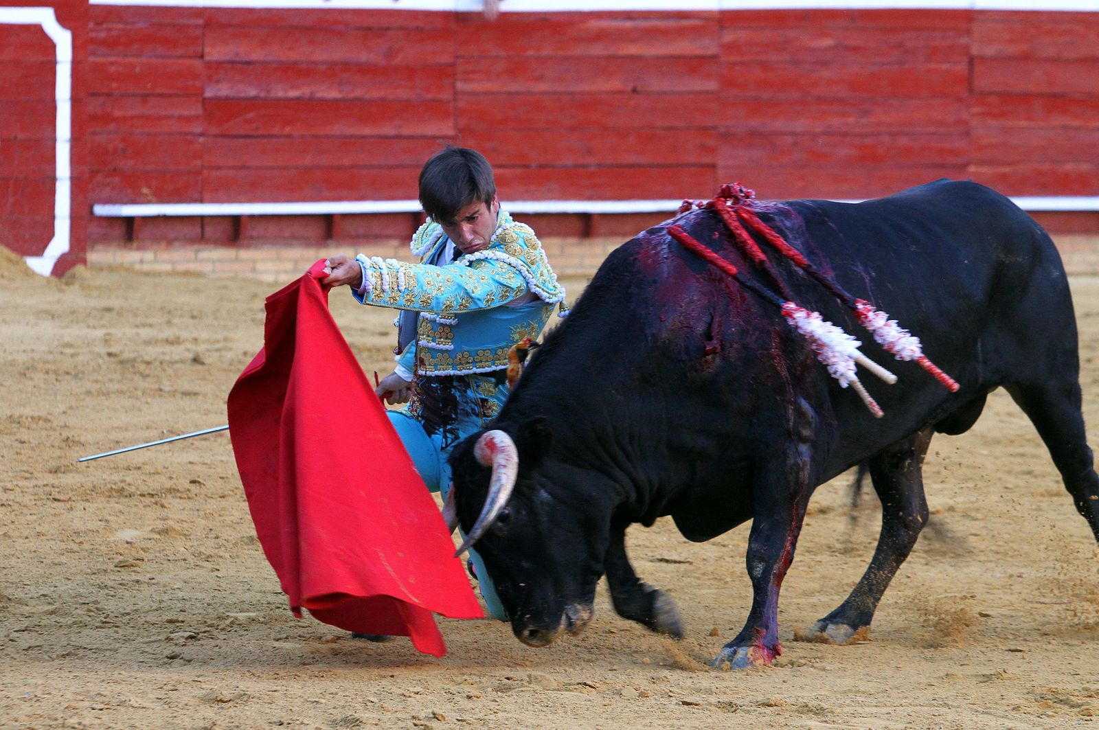 Imágenes de la Novillada de Rafael Serna, Emilio Silvera y Rodrigo Molina.