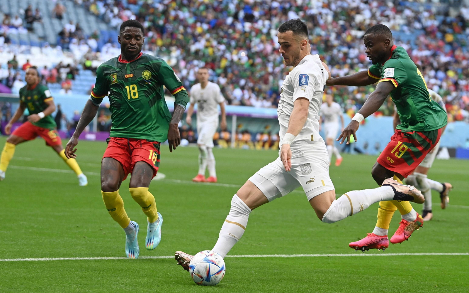 Las imágenes del Camerún - Serbia