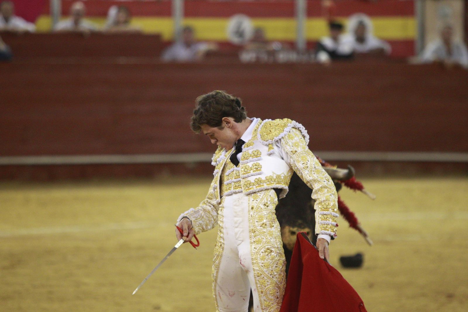 Imágenes del triunfo del torero almeriense Jorge Martínez el día de su alternativa
