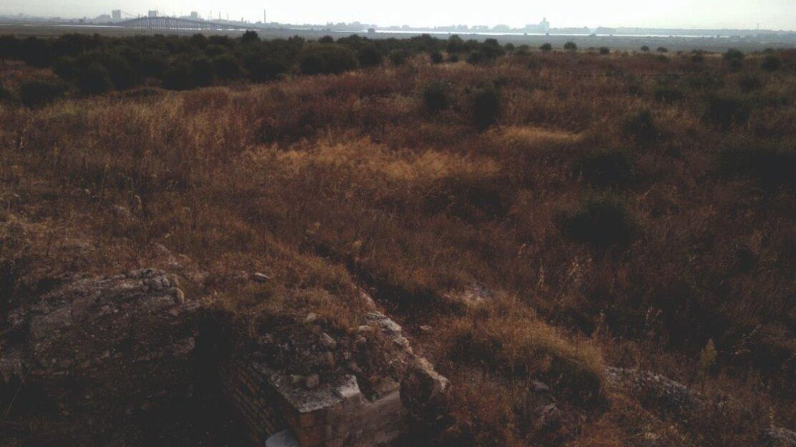 Vistas desde la Alcazaba de Saltés (Puerta de la Medina) hacia los sectores urbanos, en isla Saltés, Huelva. Yacimiento abandonado.