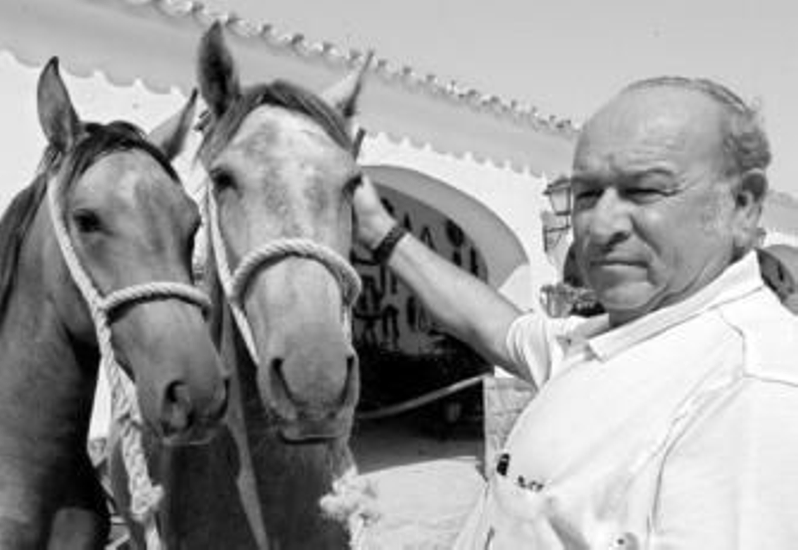 Álvaro Domecq Romero en Los Alburejos ante dos ejemplares de su ganadería caballar.