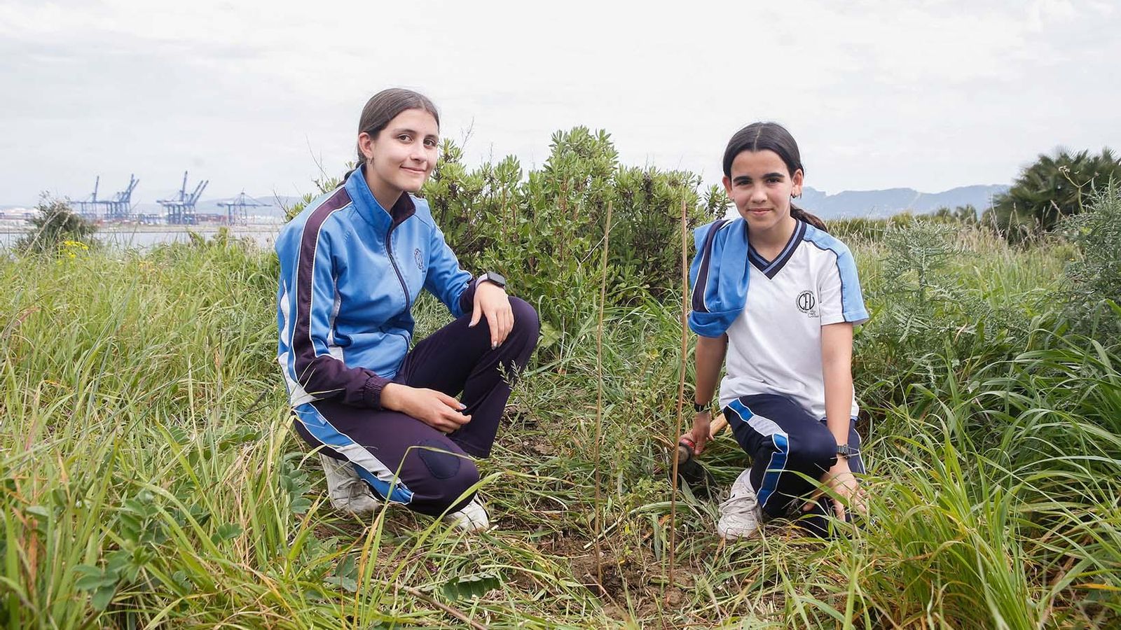 Fotografías de la plantación del programa 'Reverdece' de Acerinox Fotografías de la plantación del programa 'Reverdece' de Acerinox