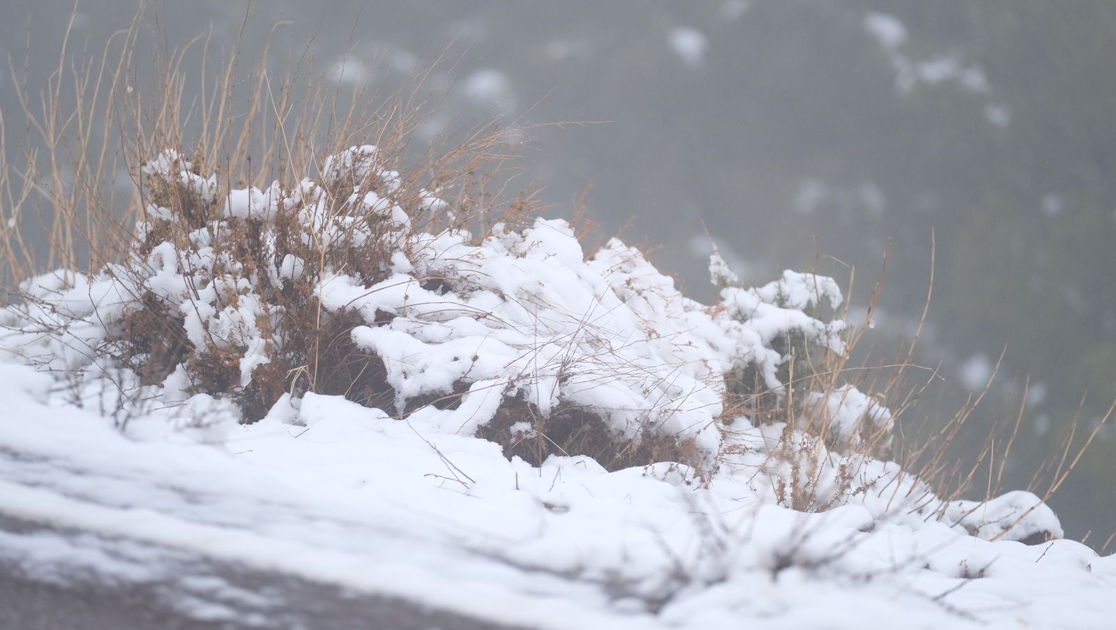 Fotogalería nevada en la Provincia de Almería