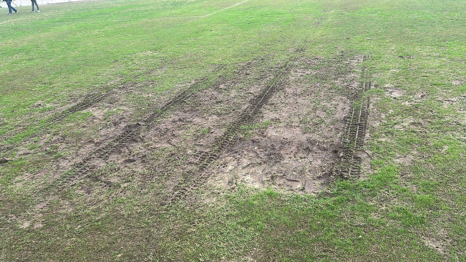 Aspecto que presenta este viernes el césped del Pedro Garrido.