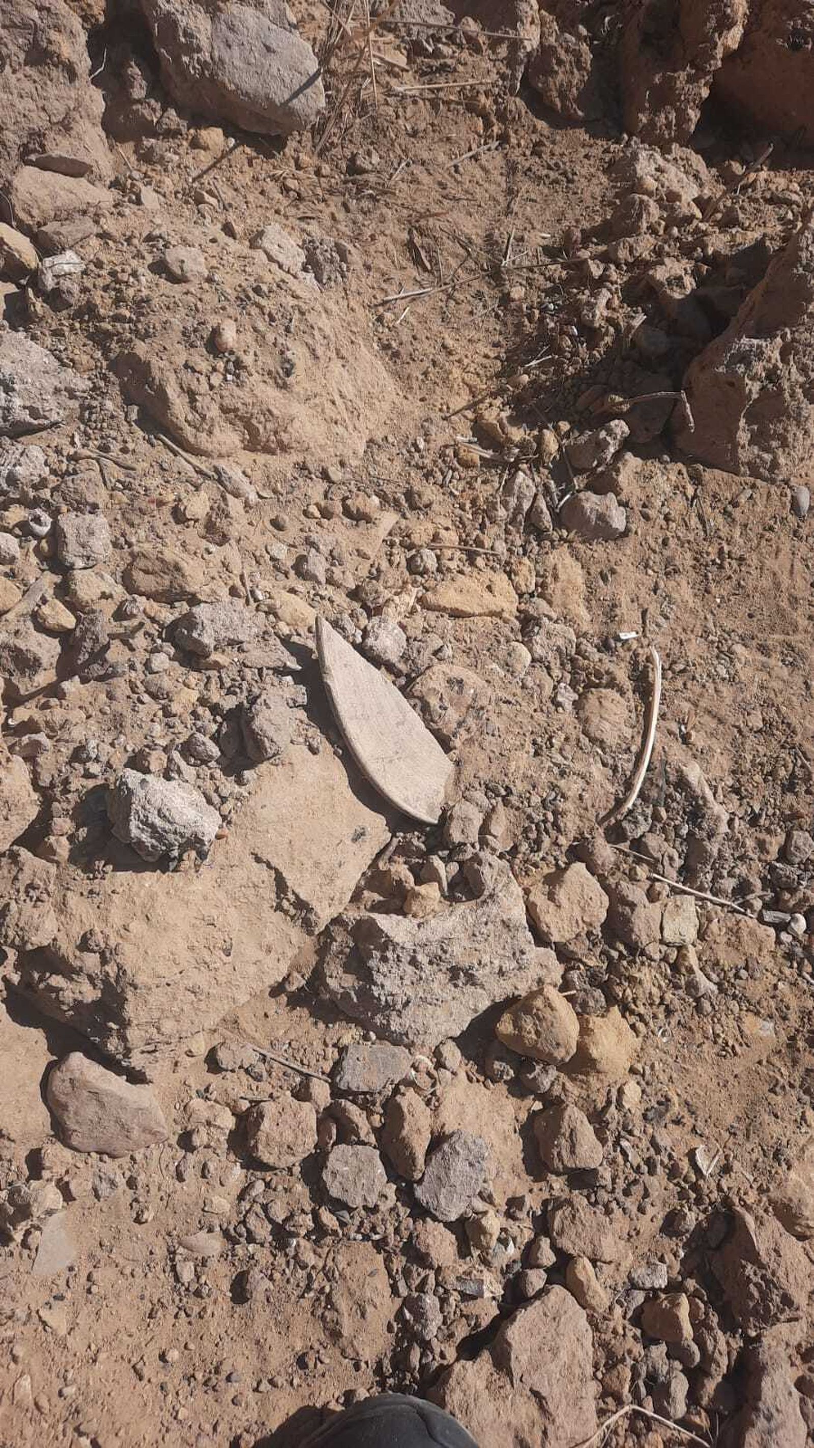 Estos son los restos arqueológicos aparecidos en el cabezo de San Pedro de Huelva