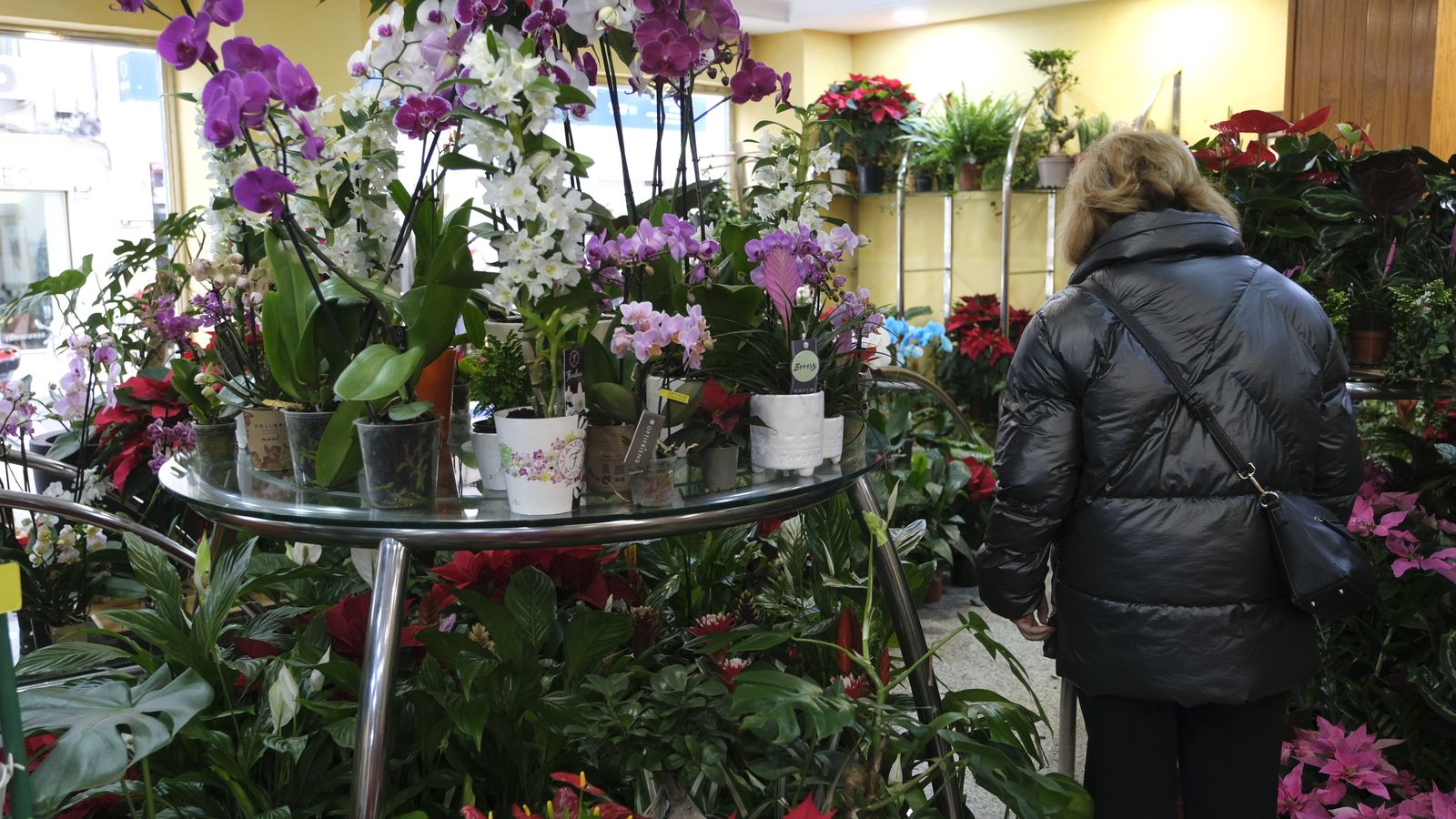 Una clienta en el establecimiento de Suministros Tripiana en la capital.