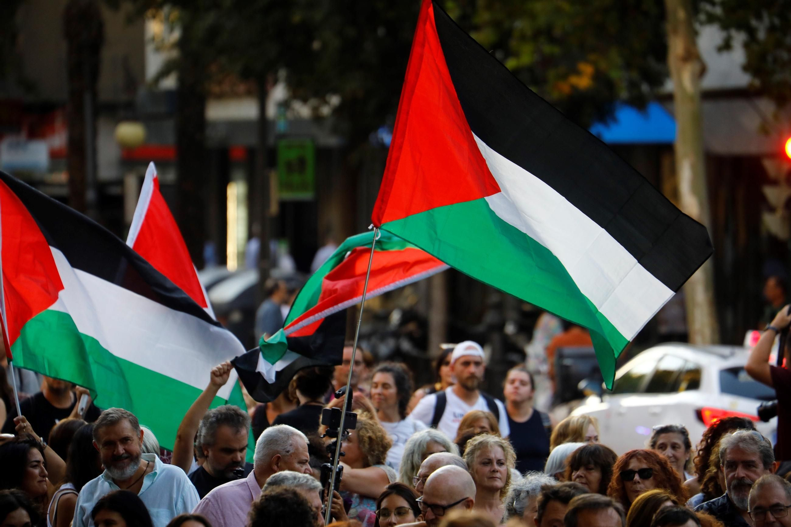 Las imágenes de la manifestación de Córdoba por Gaza