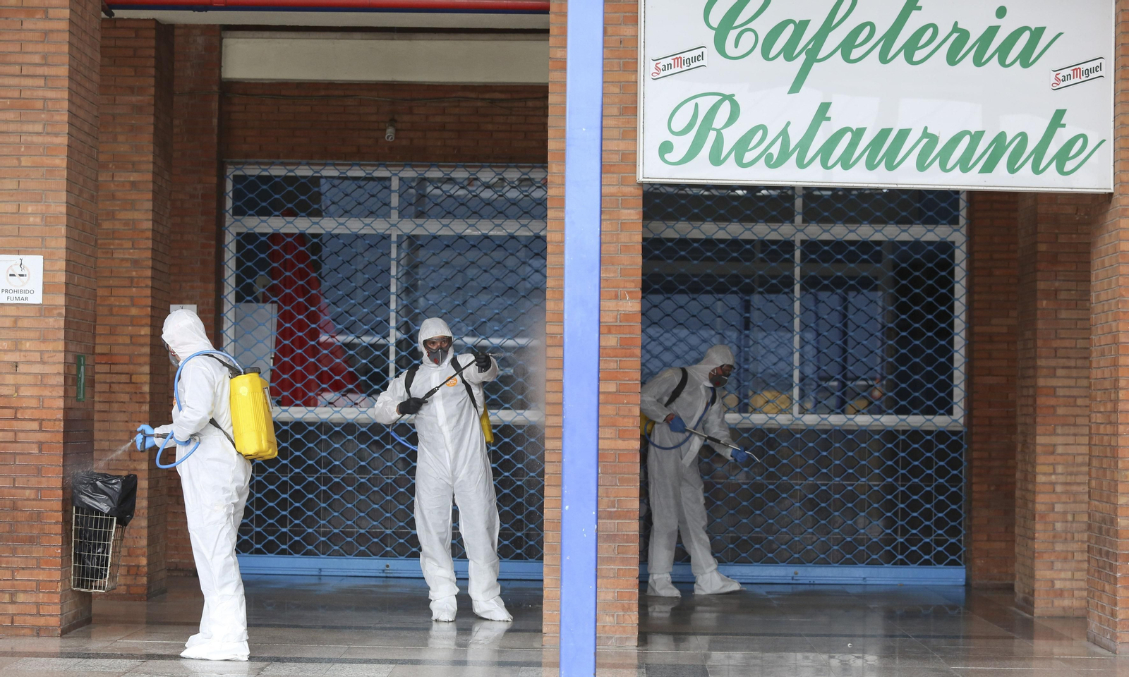La UME desinfecta en Málaga la estación de autobuses y el puerto, en fotos