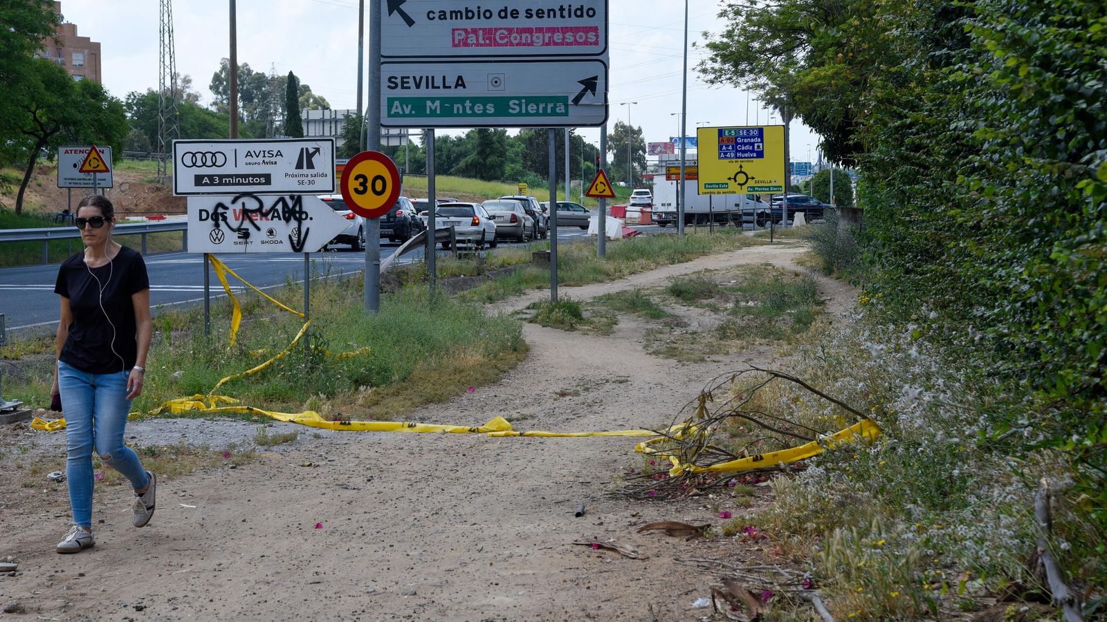 Otra vista de la zona peatonal